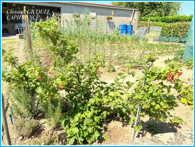 Maison - 136 m² - 6 pièces