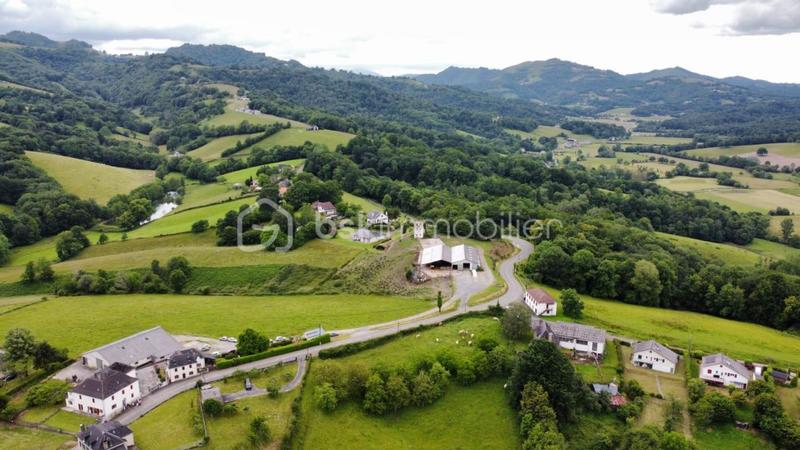 Terrain - 13 255 m²