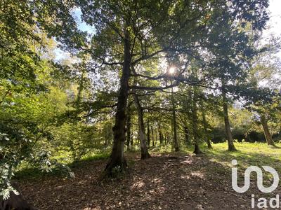 Maison - 220 m² - 10 pièces