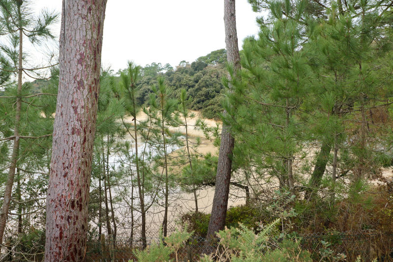 Maison - 30 m² - 3 pièces