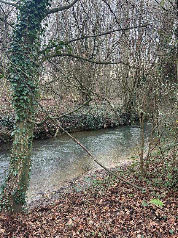 Maison - 87 m² - 3 pièces