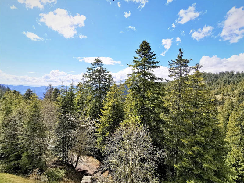 Appartement - 27 m² - 2 pièces