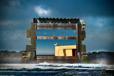 Concert - je veux parler des oiseaux