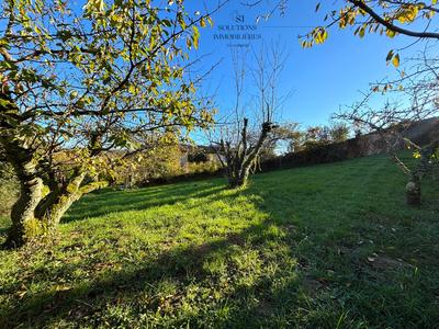 Terrain agricole - 705 m²