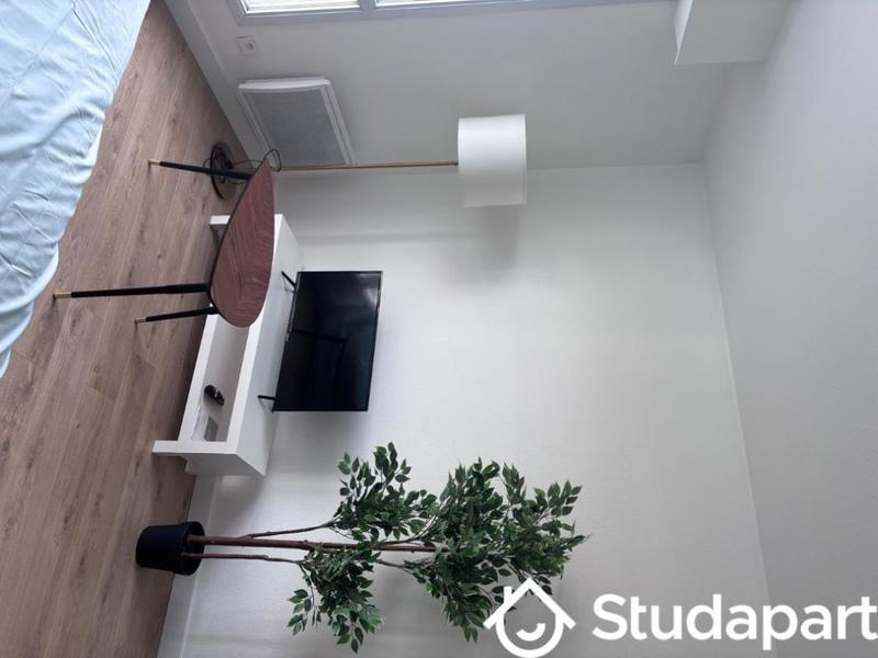 Appartement - 19 m² - 1 pièce