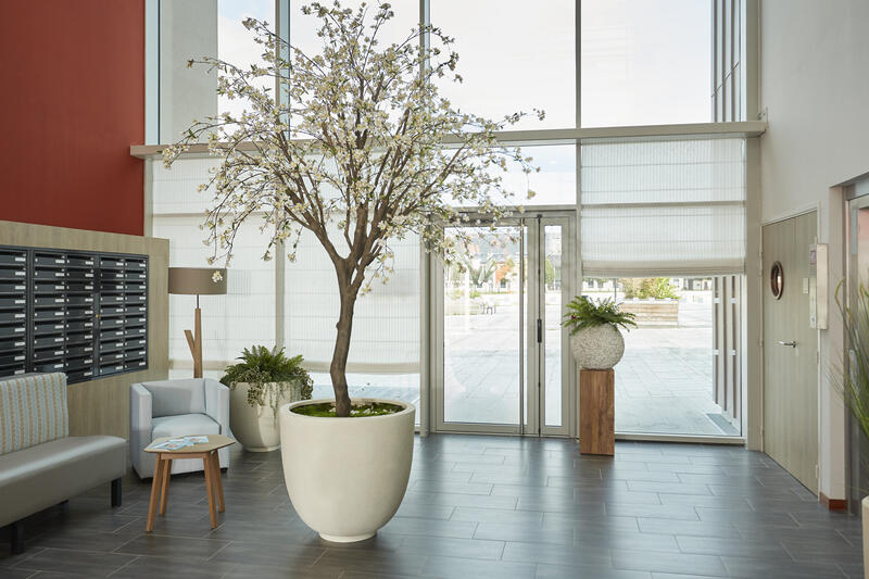 Appartement - 25 m² - 1 pièce