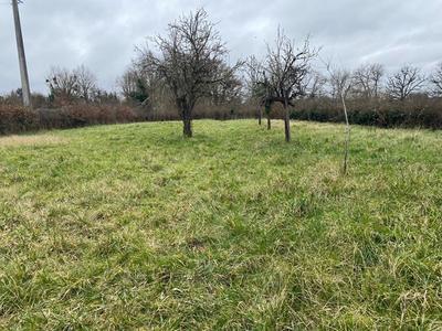 Terrain de loisirs - 3 220 m²