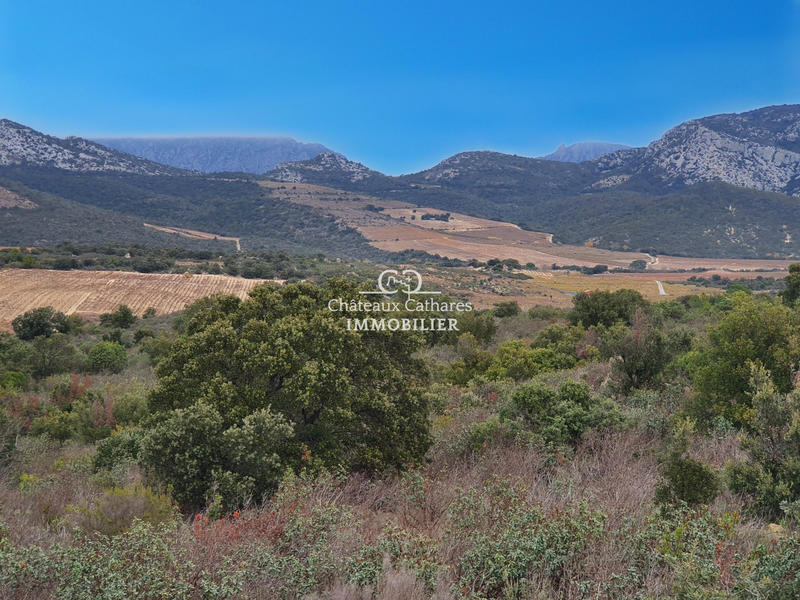 Terrain agricole - 31 187 m²