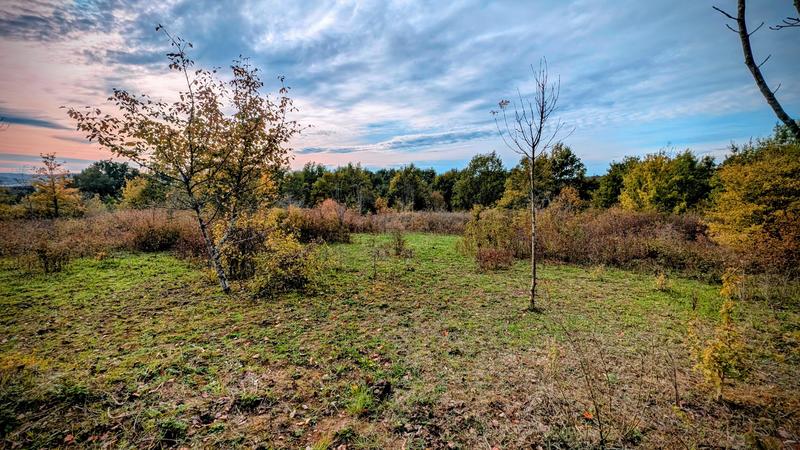 Maison - 120 m² - 7 pièces