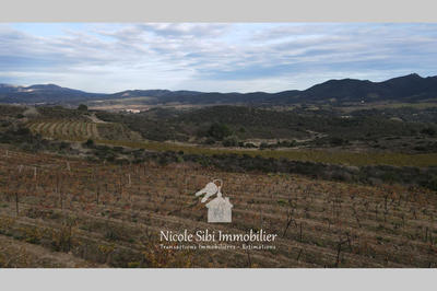 Terrain agricole - 28 875 m²