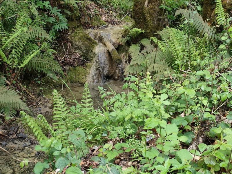 Maison de campagne - 570 m² - 20 pièces