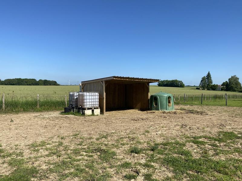 Maison - 400 m² - 16 pièces