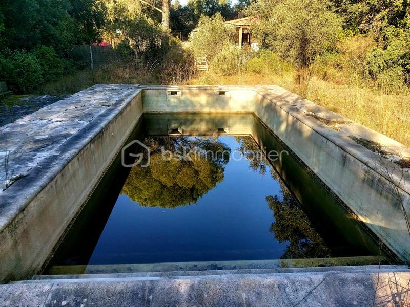 Terrain de loisirs - 5 910 m²