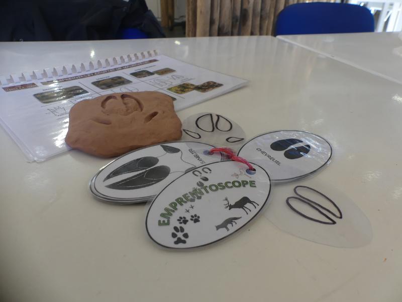 Création d'un empreintoscope à Terres d'Oiseaux