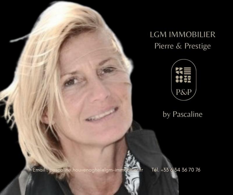 Hôtel particulier - 423 m² - 8 pièces