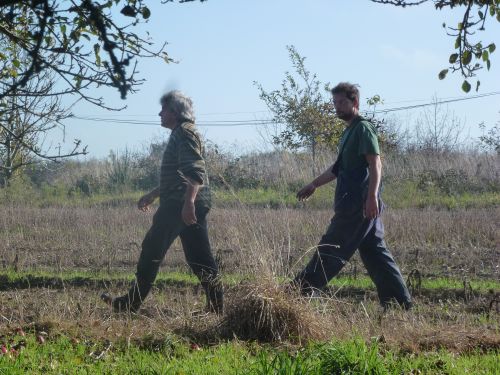 Des Bouteilles à l'Amère