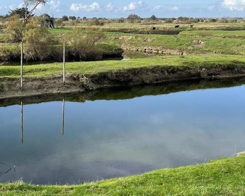 Terrain - 11 140 m²