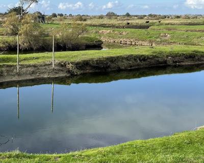 Terrain - 11 140 m²