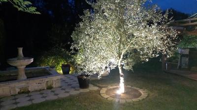 Chaumière - 133 m² - 5 pièces