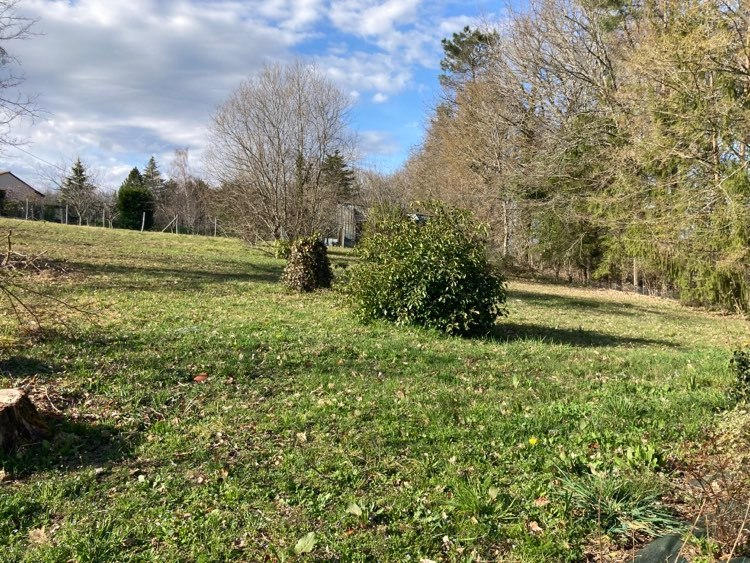 Terrain constructible - 1 402 m²