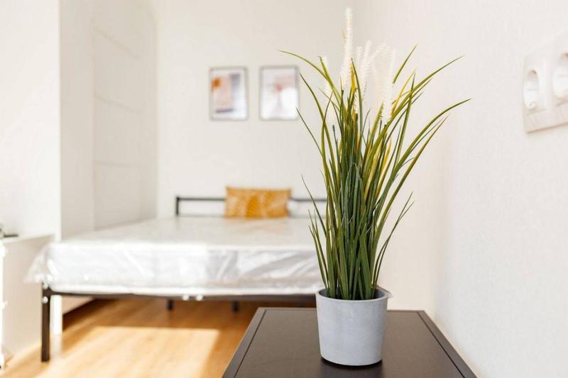 Studio - 19 m² - 1 pièce