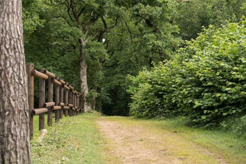 Haras - 330 m² - 15 pièces