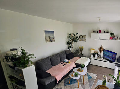 Appartement - 50 m² - 2 pièces