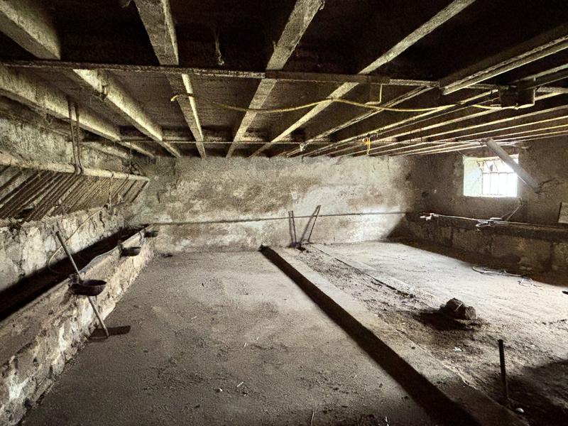 Maison ancienne - 300 m² - 6 pièces