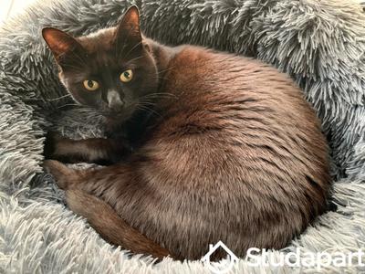 Chambre - 9 m² - 1 pièce