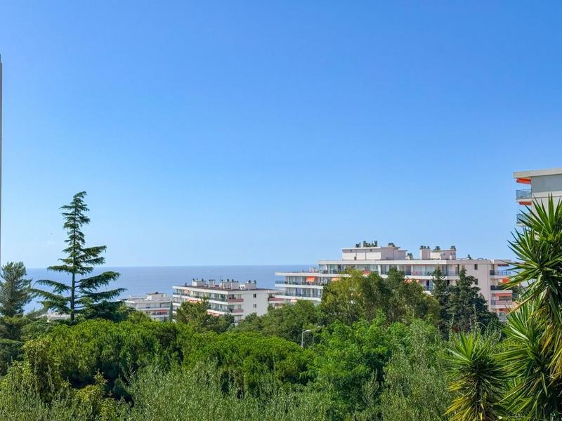 Studio - 31 m² - 1 pièce