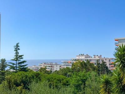 Studio - 31 m² - 1 pièce