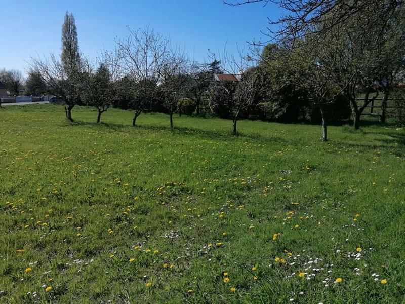 Terrain constructible - 1 174 m²