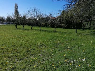 Terrain constructible - 1 174 m²