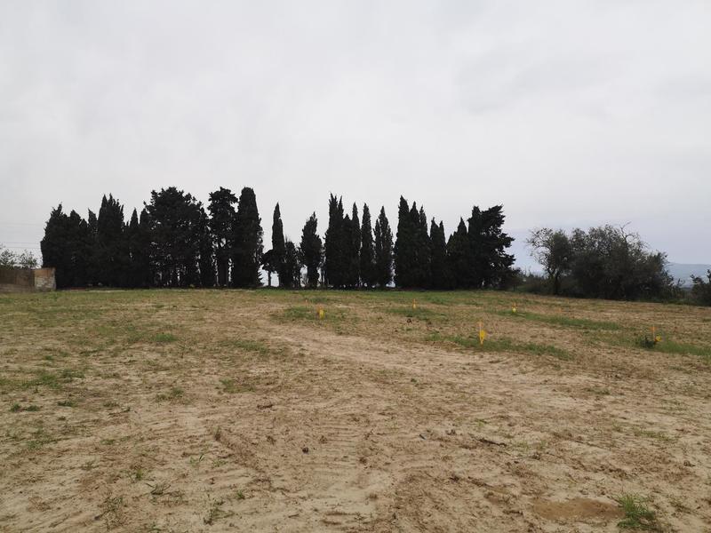 Terrain - 829 m²