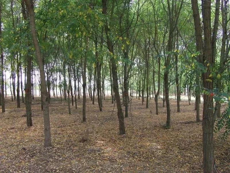 Propriété - 180 m² - 6 pièces