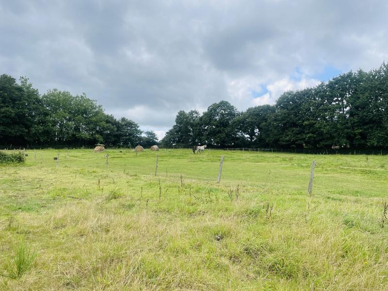 Maison ancienne - 123 m² - 5 pièces