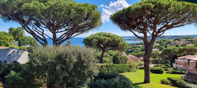 Appartement - 33 m² - 3 pièces