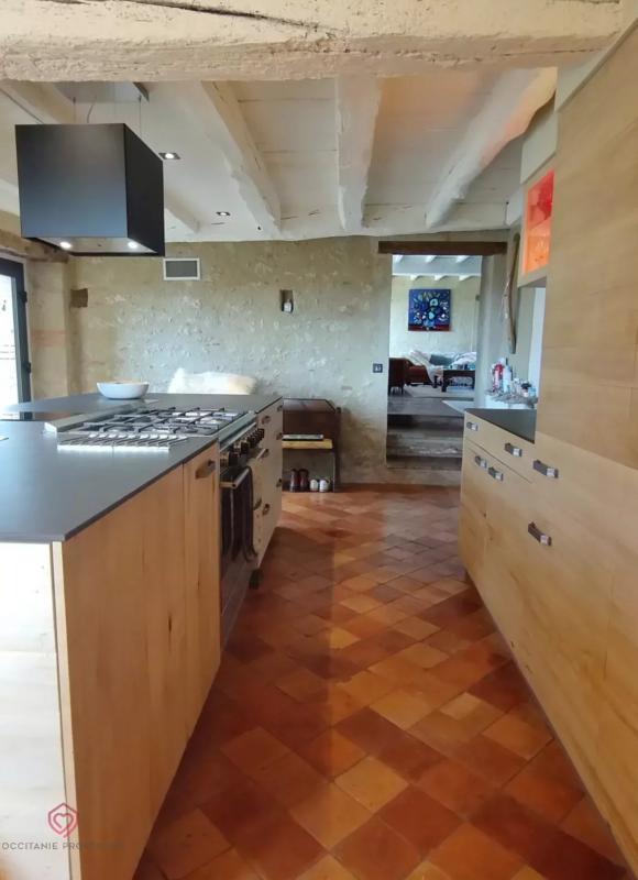 Maison ancienne - 530 m² - 12 pièces