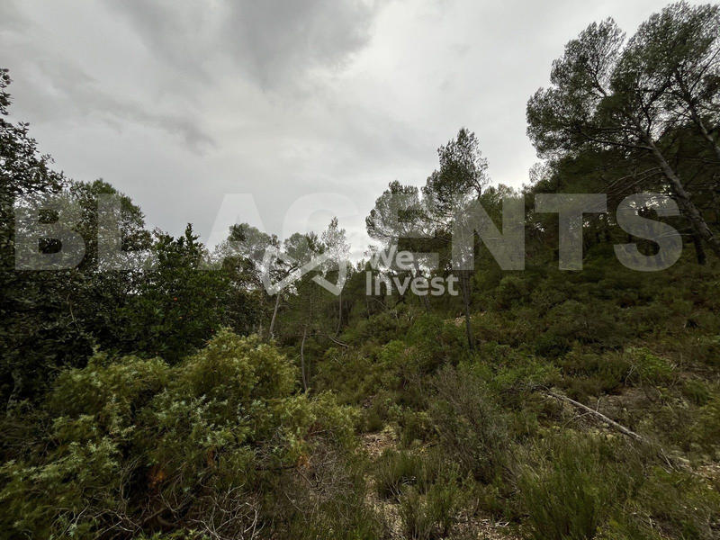 Terrain - 14 680 m²