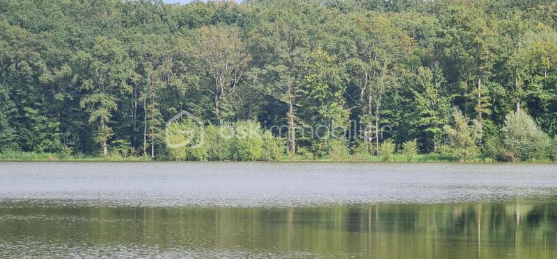 Terrain - 240 000 m²