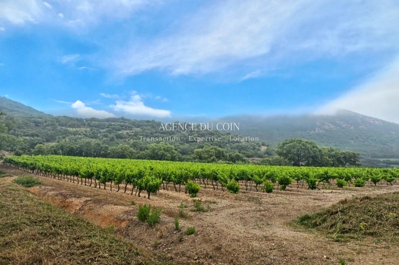 Maison de domaine - 360 m² - 9 pièces