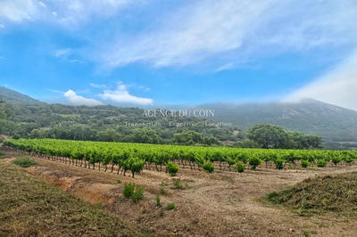 Maison de domaine - 360 m² - 9 pièces