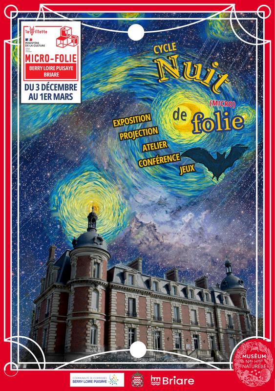 "Nuit de (Micro)-Folie" à la Micro-Folie Berry Loire Puisaye : initiation à l'astronomie