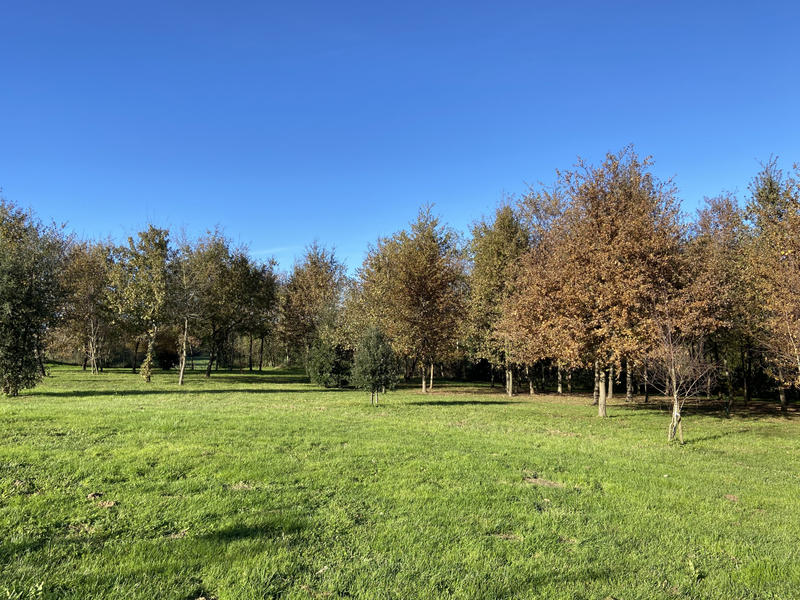 Maison de village - 161 m² - 6 pièces