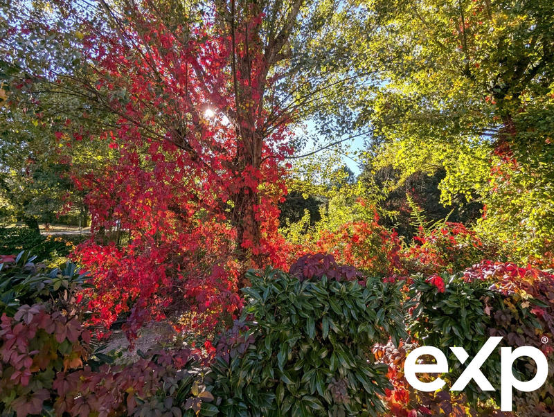 Appartement - 16 m² - 1 pièce