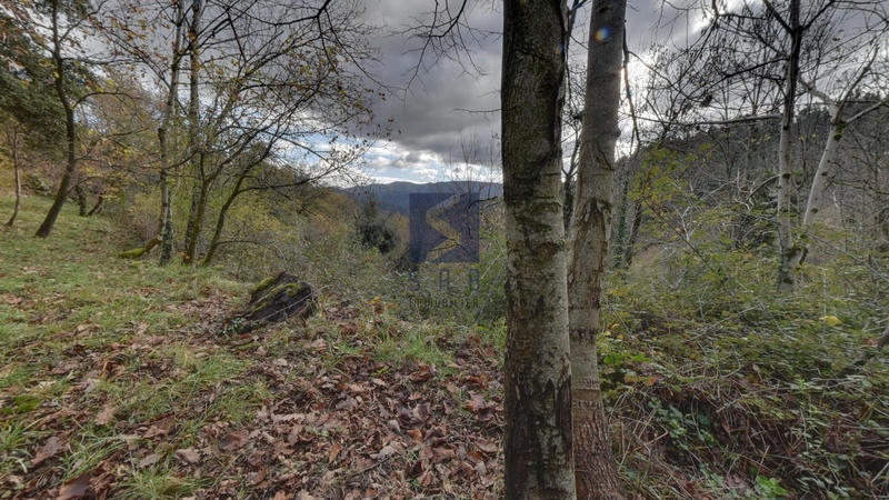 Maison - 50 m² - 2 pièces