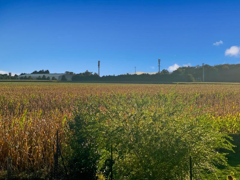 Maison - 117 m² - 6 pièces