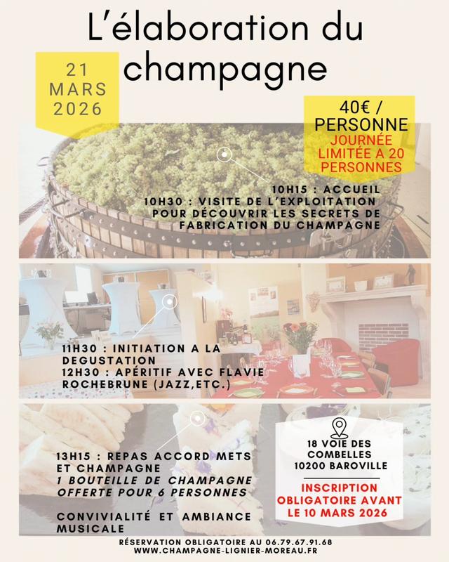 Journée sur l'élaboration du champagne