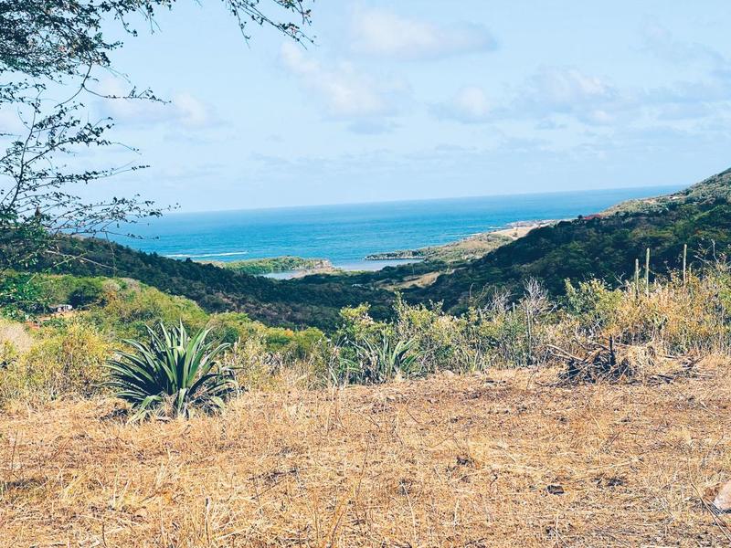 Terrain constructible - 5 600 m²