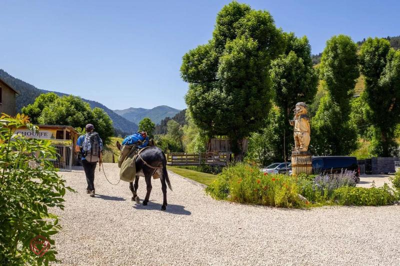 Propriété - 500 m² - 17 pièces